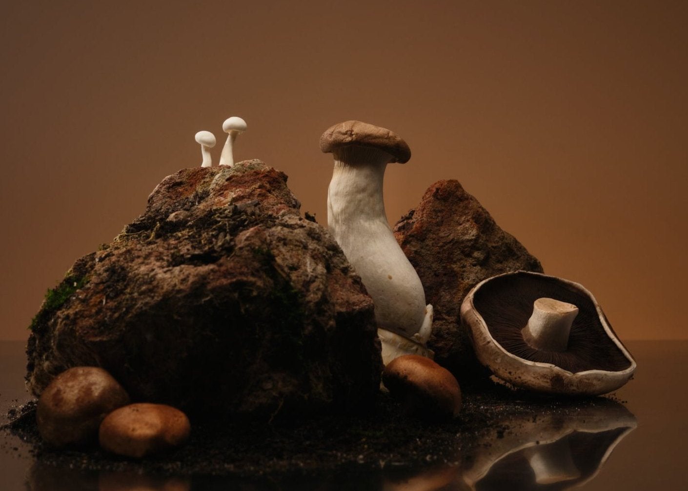 NO. 3 SHIITAKE, THYME, ROSEMARY, OAK